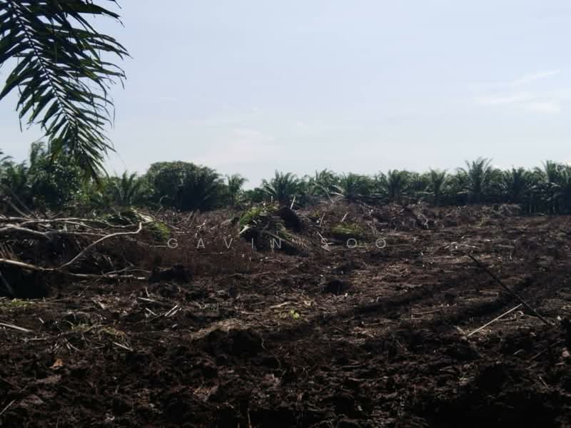 Tanah Pertanian untuk Disewa di Ayer Baloi (Johor) - Gavin Soo - PropertyGuru.com.my