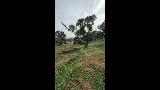 Residential Land for Sale in Nilai (Negeri Sembilan) - Qashah Khairul Shah - PropertyGuru.com.my