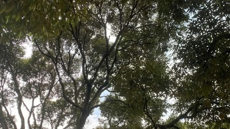 Residential Land for Sale in Nilai (Negeri Sembilan) - Qashah Khairul Shah - PropertyGuru.com.my