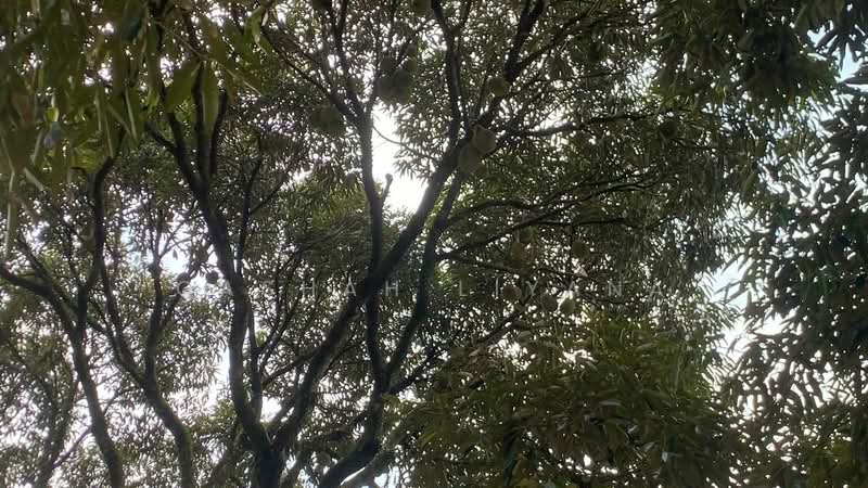 Residential Land for Sale in Nilai (Negeri Sembilan) - Qashah Khairul Shah - PropertyGuru.com.my