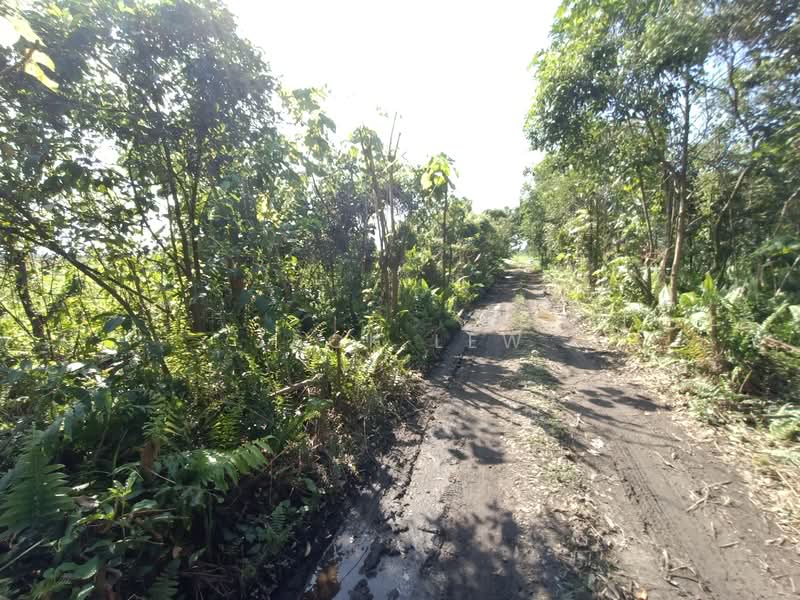 Tanah Pertanian untuk Dijual di Dengkil (Selangor) - Jack Lew - Exterior - PropertyGuru.com.my