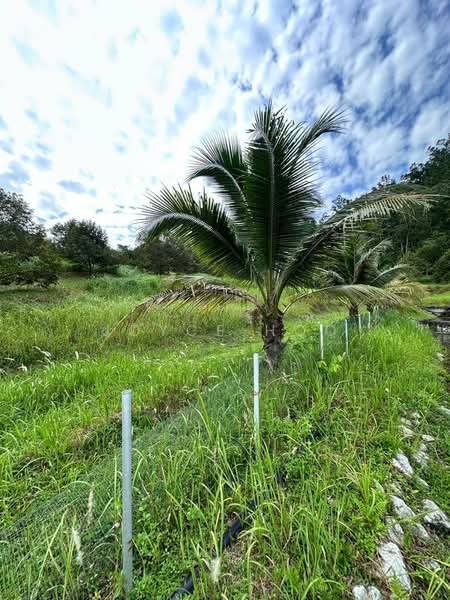 Agricultural Land for Sale in Rawang (Selangor) - Joyce Hoo - Exterior - PropertyGuru.com.my