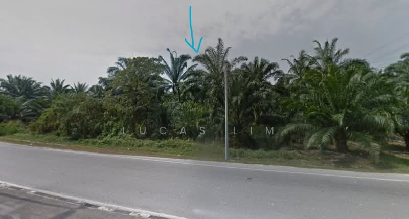 Agricultural Land for Sale in Banting (Selangor) - Lucas Lim - Exterior - PropertyGuru.com.my