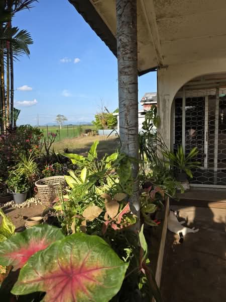 Bungalow for Sale in Taman Uda (Alor Setar) - Hasnizam . - Exterior - PropertyGuru.com.my