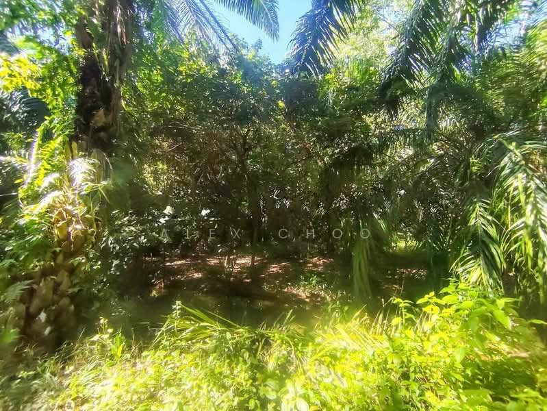 Tanah Pertanian untuk Dijual di Seri Manjung (Perak) - Alex Choo - Exterior - PropertyGuru.com.my