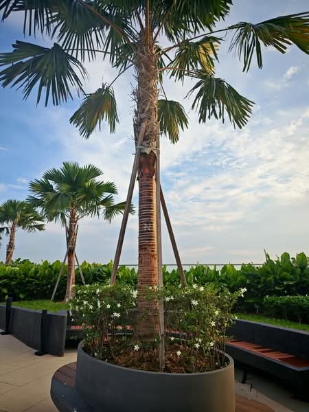 Kondominium untuk Disewa di Bangsar Hill Park - Stefanie Yii - Exterior - PropertyGuru.com.my