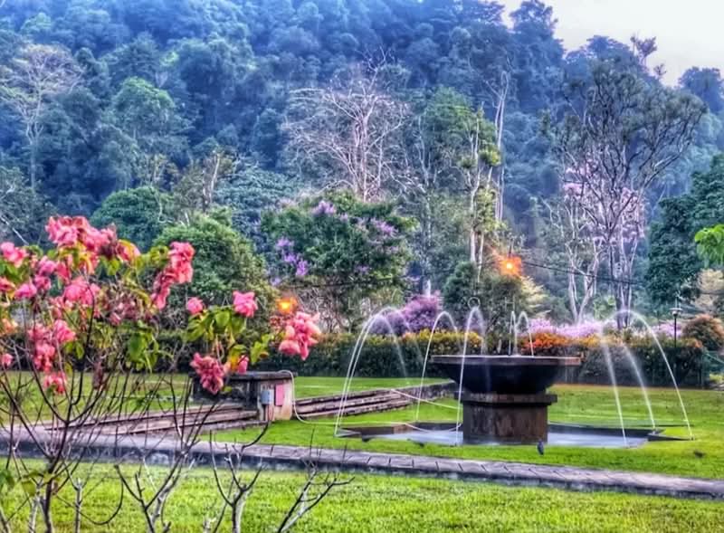 Rumah Banglo untuk Dijual di Gurney Drive (Penang) - Daniel Teoh - Garden - PropertyGuru.com.my