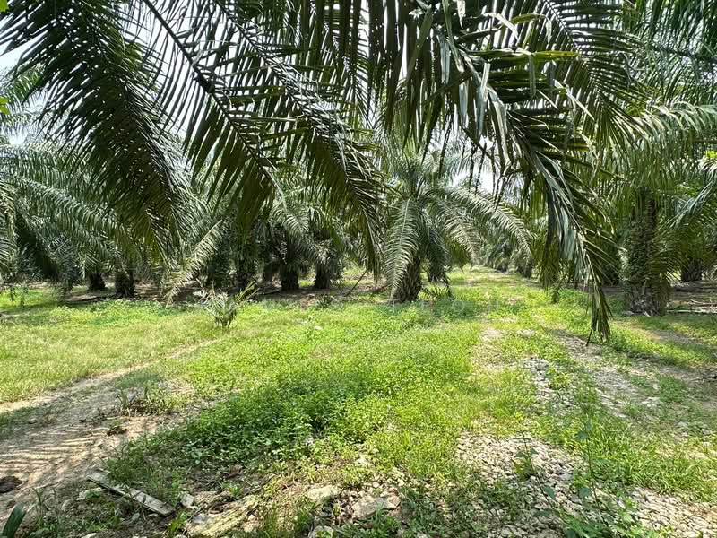 Tanah Pertanian untuk Dijual di Jeram (Selangor) - James Teoh - Garden - PropertyGuru.com.my