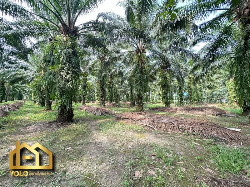 Tanah Pertanian untuk Dijual di Jeram (Selangor) - James Teoh - Garden - PropertyGuru.com.my