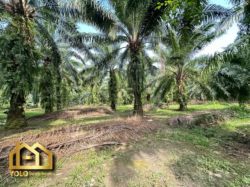Tanah Pertanian untuk Dijual di Jeram (Selangor) - James Teoh - Exterior - PropertyGuru.com.my