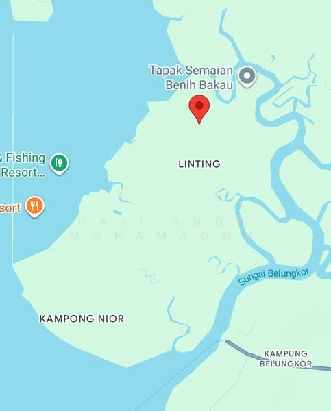 Tanah Pertanian untuk Dijual di Kampung Linting (Tanjung Surat) - Haji Andy Mohamadon - PropertyGuru.com.my