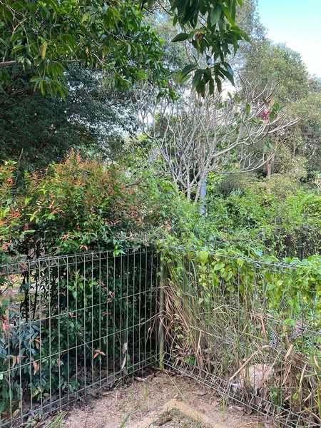 Semi-Detached House for Rent in Iskandar Puteri (Nusajaya) (Johor) - Jameson Choo - PropertyGuru.com.my