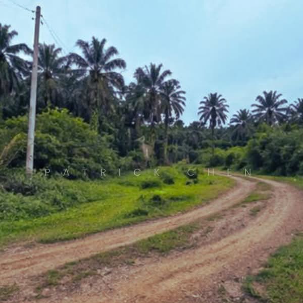 Commercial Land for Sale in Kertih (Terengganu) - Patrick Chen - Exterior - PropertyGuru.com.my