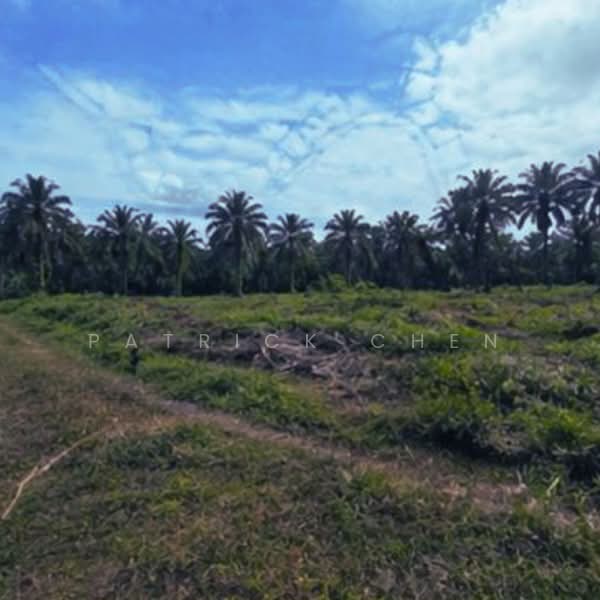 Commercial Land for Sale in Kertih (Terengganu) - Patrick Chen - Exterior - PropertyGuru.com.my