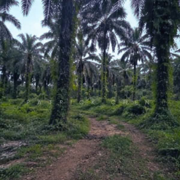 Commercial Land for Sale in Kertih (Terengganu) - Patrick Chen - Exterior - PropertyGuru.com.my