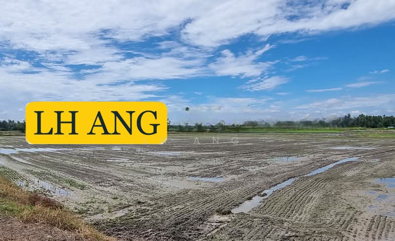 Tanah Pertanian untuk Dijual di Butterworth (Penang) - LH Ang - PropertyGuru.com.my