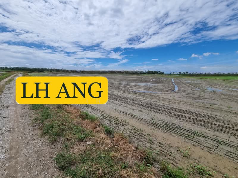 Tanah Pertanian untuk Dijual di Butterworth (Penang) - LH Ang - PropertyGuru.com.my