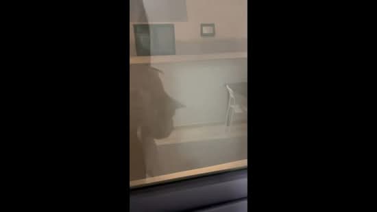 Condominium for Rent at Parkhill Residence - Jasminn Tan - PropertyGuru.com.my