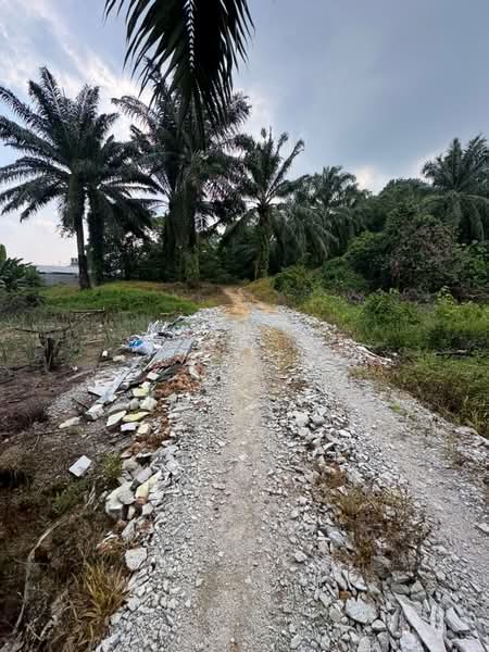 Agricultural Land for Sale in Ulu Choh (Jeram Batu) - June Tan - PropertyGuru.com.my