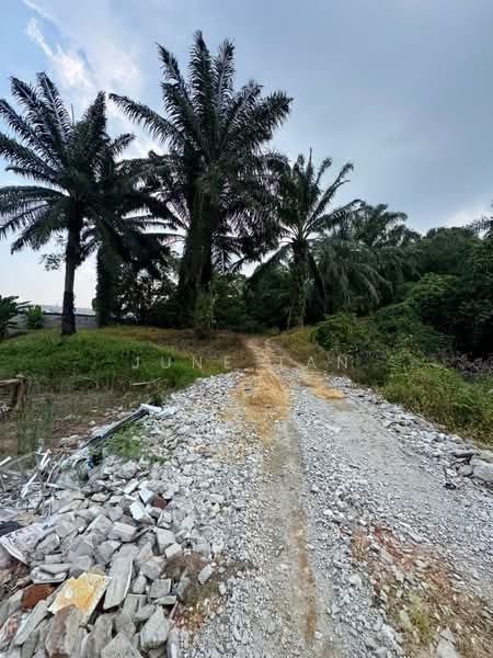 Agricultural Land for Sale in Ulu Choh (Jeram Batu) - June Tan - PropertyGuru.com.my