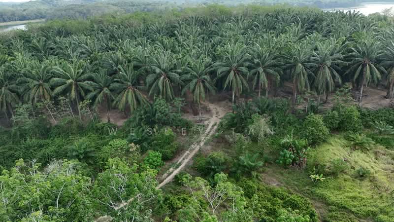 Tanah Pertanian untuk Dijual di Durian Tunggal (Melaka) - Wesley Tan - Exterior - PropertyGuru.com.my