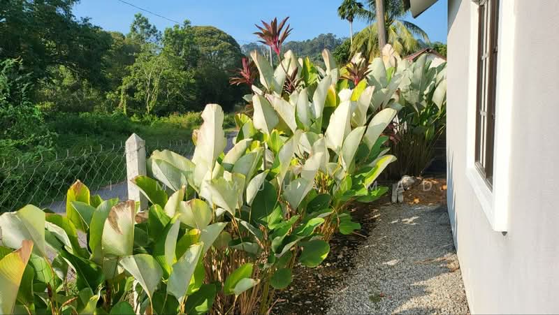 Tanah Pertanian untuk Dijual di Kuala Linggi (Melaka) - Ismi Muhammad - Exterior - PropertyGuru.com.my