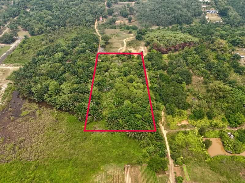Tanah Pertanian untuk Dijual di Kampung Bukit Cherakah (Shah Alam) - RAIS . - Exterior - PropertyGuru.com.my