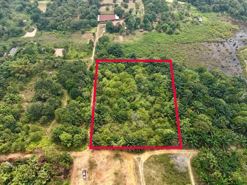 Tanah Pertanian untuk Dijual di Kampung Bukit Cherakah (Shah Alam) - RAIS . - Exterior - PropertyGuru.com.my