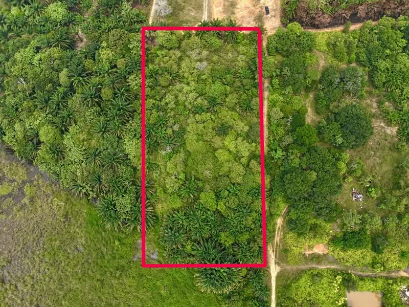 Tanah Pertanian untuk Dijual di Kampung Bukit Cherakah (Shah Alam) - RAIS . - Exterior - PropertyGuru.com.my