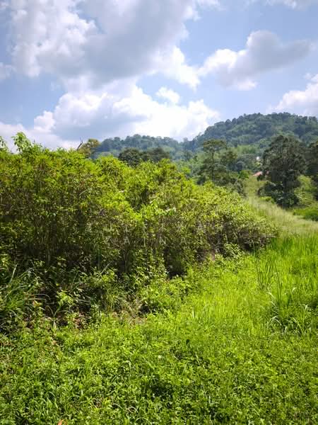 Tanah Pertanian untuk Dijual di Kampung Sungai Lui (Hulu Langat) - Zulfikar Zainal - Exterior - PropertyGuru.com.my