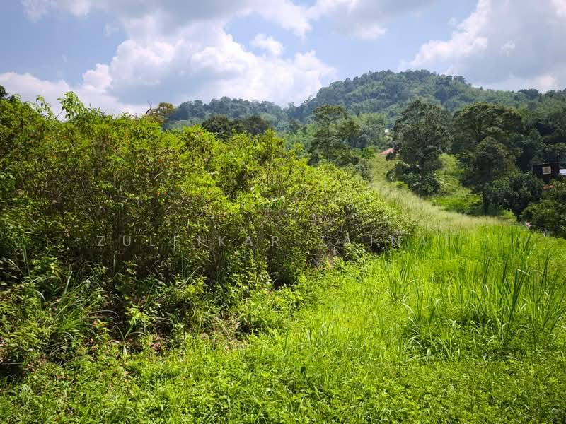 Tanah Pertanian untuk Dijual di Kampung Sungai Lui (Hulu Langat) - Zulfikar Zainal - Exterior - PropertyGuru.com.my