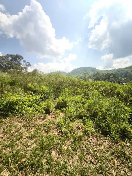 Tanah Pertanian untuk Dijual di Kampung Sungai Lui (Hulu Langat) - Zulfikar Zainal - Exterior - PropertyGuru.com.my