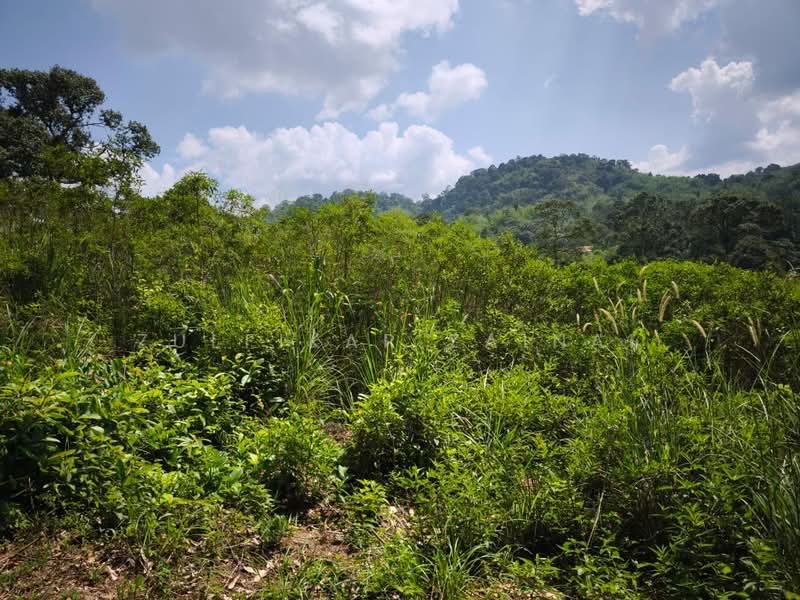 Tanah Pertanian untuk Dijual di Kampung Sungai Lui (Hulu Langat) - Zulfikar Zainal - Exterior - PropertyGuru.com.my