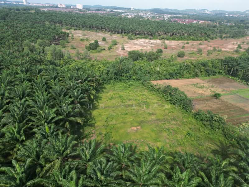 Agricultural Land for Sale in Labu (Negeri Sembilan) - Mohd Faizal - Exterior - PropertyGuru.com.my
