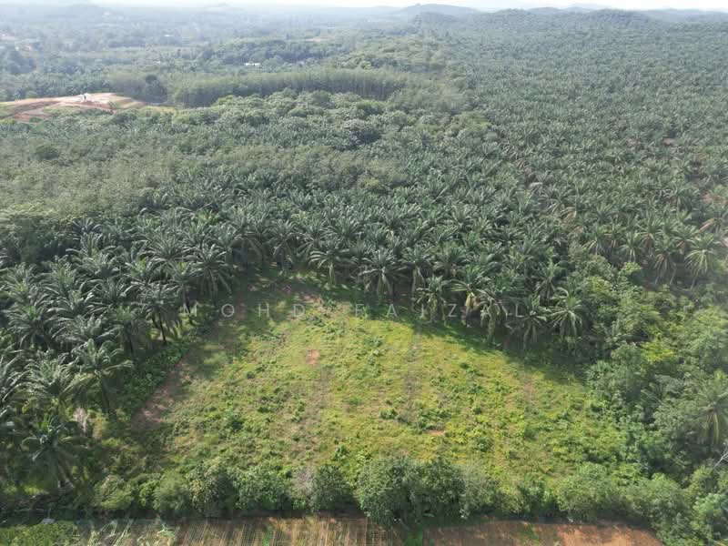 Agricultural Land for Sale in Labu (Negeri Sembilan) - Mohd Faizal - Exterior - PropertyGuru.com.my