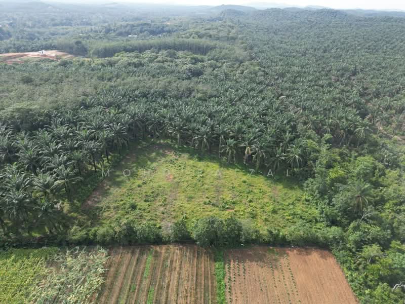 Agricultural Land for Sale in Labu (Negeri Sembilan) - Mohd Faizal - Exterior - PropertyGuru.com.my