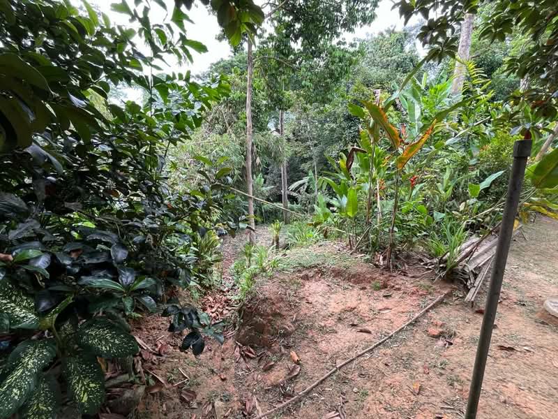 Bungalow for Sale in Bukit Tunku (Kenny Hills) (Kuala Lumpur) - Armin Latif - Garden - PropertyGuru.com.my