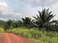 For Sale - Sitiawan Kampong Koh