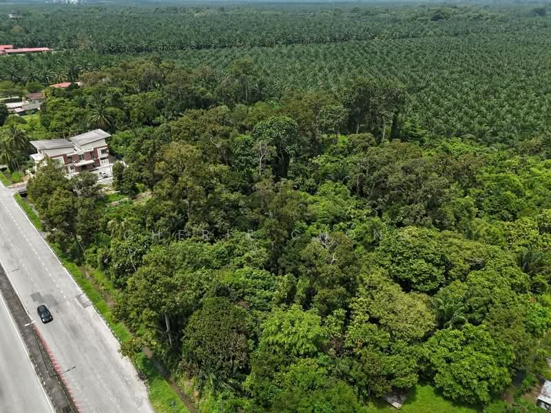 Agricultural Land for Sale in Kerian (Perak) - Cherie Chong - Exterior - PropertyGuru.com.my