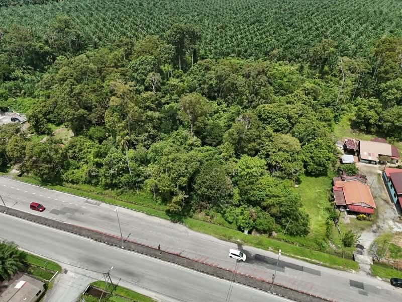 Agricultural Land for Sale in Kerian (Perak) - Cherie Chong - Exterior - PropertyGuru.com.my
