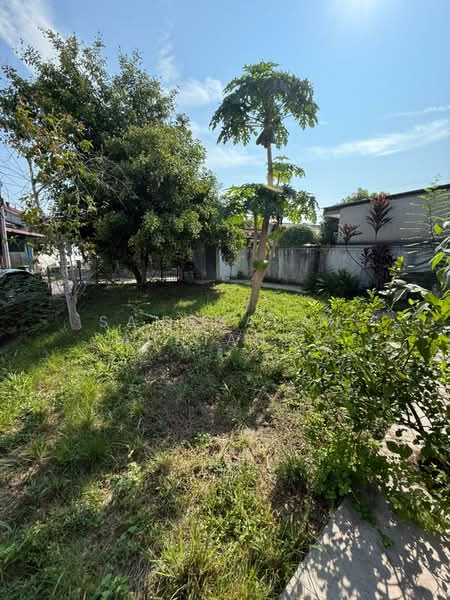 1-storey Terraced House for Sale in Kulim (Kedah) - Sanggaran Muniandy - Garden - PropertyGuru.com.my