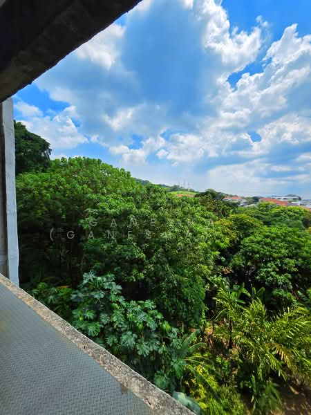 Rumah Berkembar untuk Dijual di Damansara Perdana (Selangor) - (Ganesha) Ganesh Ramanathan - View - PropertyGuru.com.my