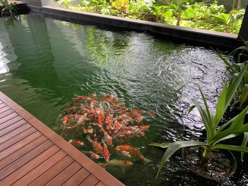 Service Residence for Rent at Star Residences Three - Tim Siow - Garden - PropertyGuru.com.my