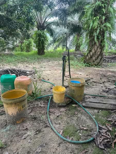 Tanah Pertanian untuk Dijual di Jeram (Perak) - Lee Muzi - Exterior - PropertyGuru.com.my