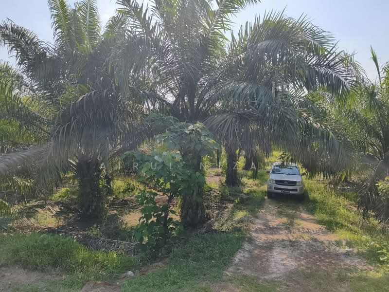 Agricultural Land for Sale in Batu Pahat (Johor) - AIRUL NIZAM - Exterior - PropertyGuru.com.my