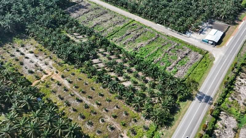 Agricultural Land for Sale in Batu Pahat (Johor) - AIRUL NIZAM - Exterior - PropertyGuru.com.my