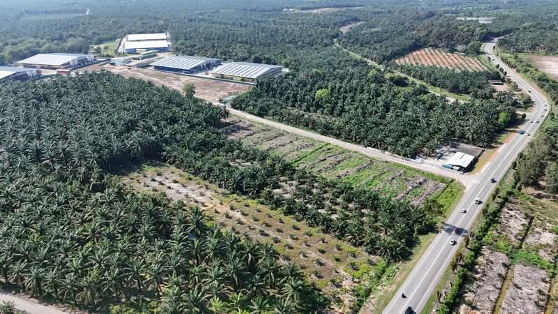 Agricultural Land for Sale in Batu Pahat (Johor) - AIRUL NIZAM - Exterior - PropertyGuru.com.my