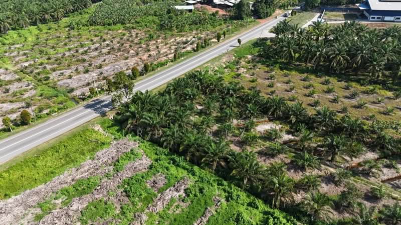 Agricultural Land for Sale in Batu Pahat (Johor) - AIRUL NIZAM - Exterior - PropertyGuru.com.my
