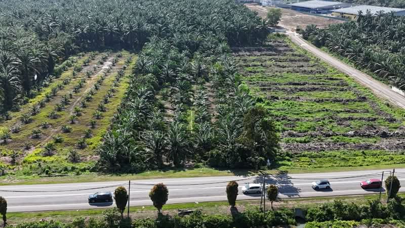 Agricultural Land for Sale in Batu Pahat (Johor) - AIRUL NIZAM - Exterior - PropertyGuru.com.my