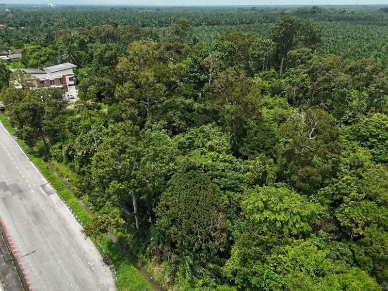 Agricultural Land for Sale in Kamunting (Perak) - Gary Tang - Exterior - PropertyGuru.com.my